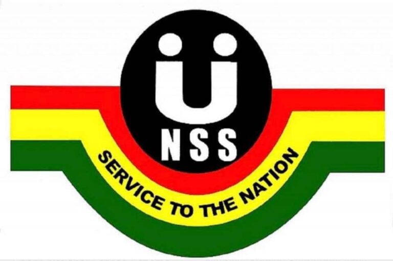 62df0b8cd10d2ac346500373_nss logo